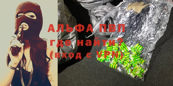 стаф Бородино