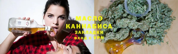 стаф Бородино