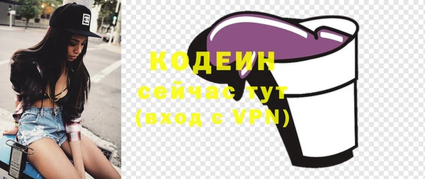 стаф Бородино