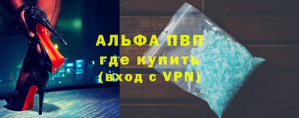 стаф Бородино
