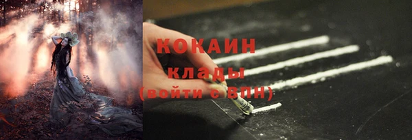 стаф Бородино