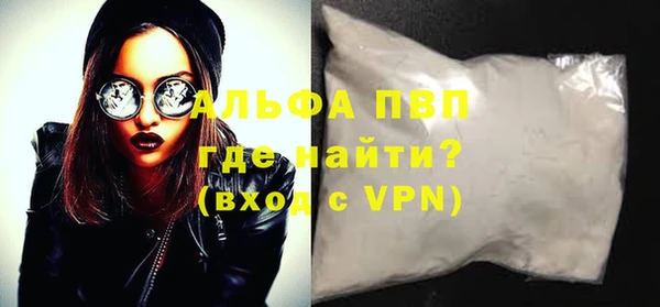 стаф Бородино