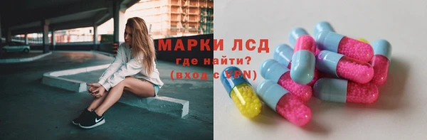 стаф Бородино