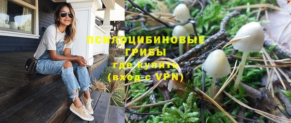 стаф Бородино