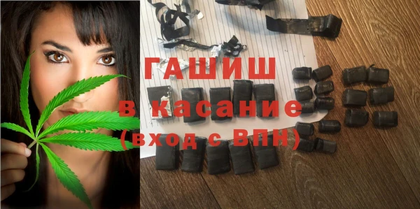 стаф Бородино