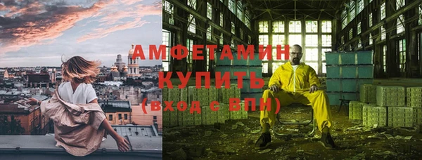 стаф Бородино