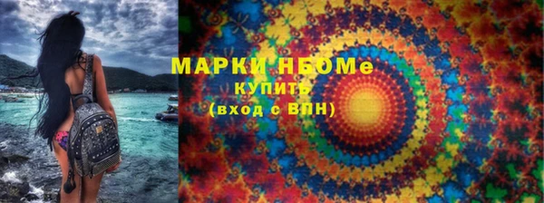 стаф Бородино