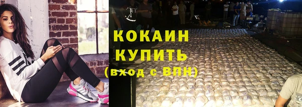 стаф Бородино