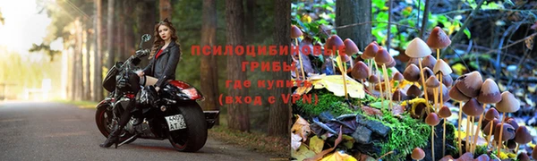 марки lsd Бугульма