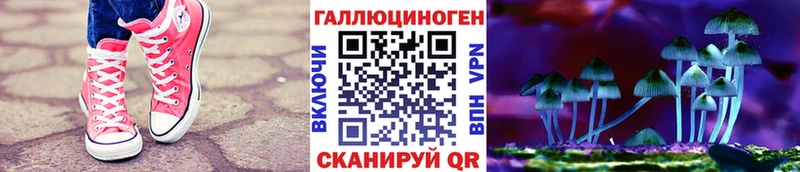 кракен ССЫЛКА закладка Нелидово Псилоцибиновые грибы Psilocybe